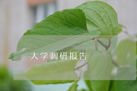 大学调研报告 大学调研报告