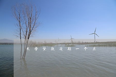 大学贷款逾期一个月 大学贷款逾期一个月