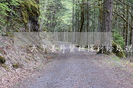 大宁县外贸担保纠纷处理律师