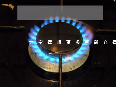 大宁律师事务所简介律公管理 大宁律师事务所简介律公管理