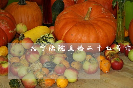 大宁法院直播二十七号开庭审 大宁法院直播二十七号开庭审