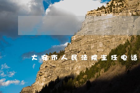 大安市人民法院主任电话
