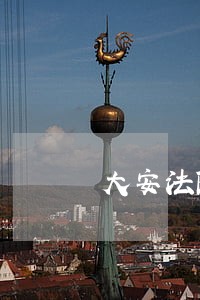大安法院召开座谈会 大安法院召开座谈会