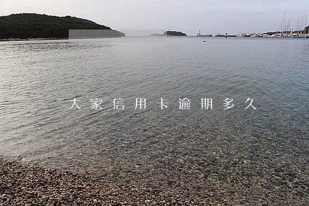 大家信用卡逾期多久 大家信用卡逾期多久
