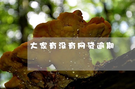 大家有没有网贷逾期