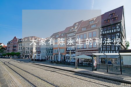 大家有陈永生的刑法视频讲义吗