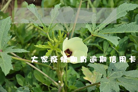 大家疫情期有逾期信用卡了吗