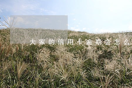 大家的信用卡逾期会怎么样