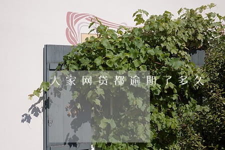 大家网贷都逾期了多久 大家网贷都逾期了多久