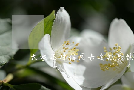 大家还对信用卡逾期恐惧吗