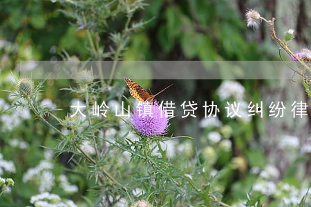 大岭山镇借贷协议纠纷律师 大岭山镇借贷协议纠纷律师