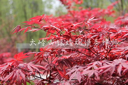 大岭山镇婚姻债务律师 大岭山镇婚姻债务律师