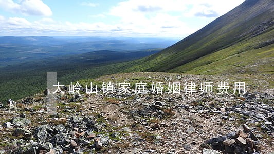 大岭山镇家庭婚姻律师费用 大岭山镇家庭婚姻律师费用