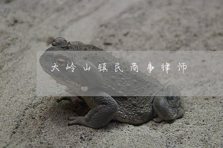 大岭山镇民商事律师 大岭山镇民商事律师