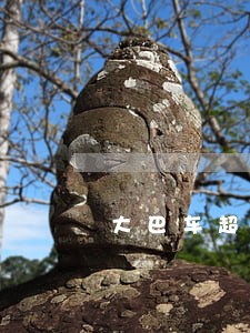 大巴车超载法规
