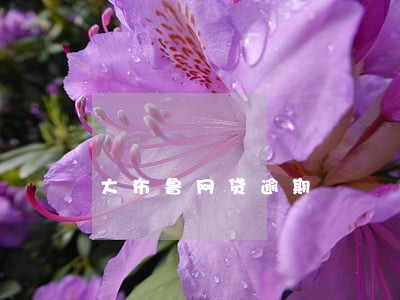 大布鲁网贷逾期 大布鲁网贷逾期