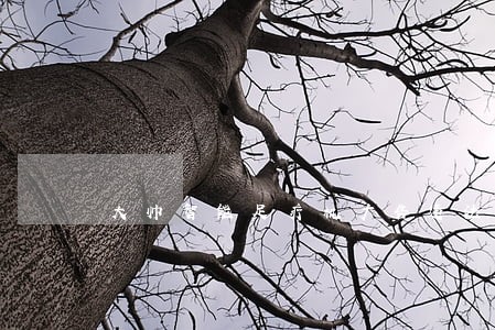大帅智能足疗机广告违法吗