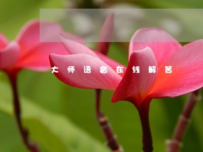 大师语音在线解答 大师语音在线解答