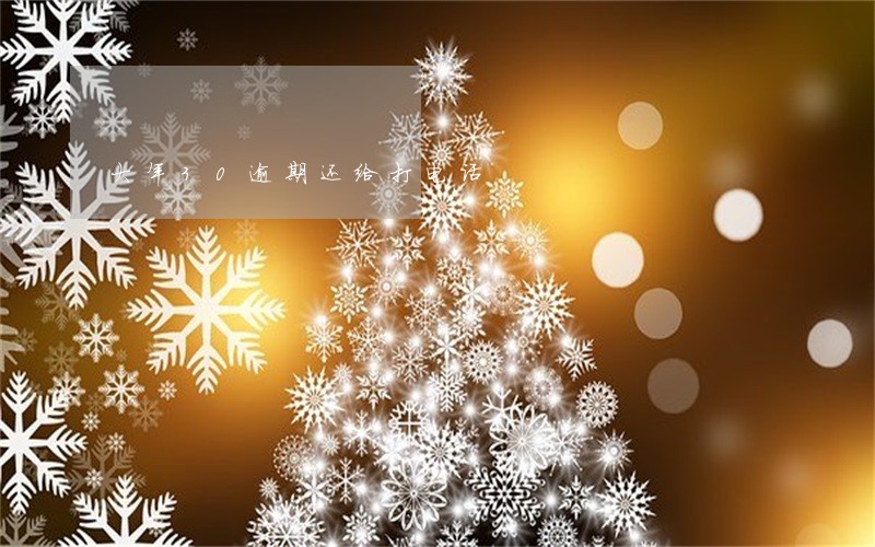 大年30逾期还给打电话