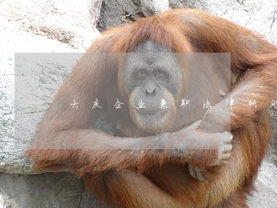 大庆企业兼职法律顾问 大庆企业兼职法律顾问