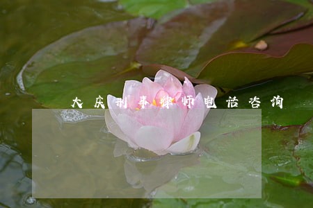 大庆刑事律师电话咨询 大庆刑事律师电话咨询