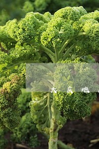 大庆地区找辩护律师价格 大庆地区找辩护律师价格