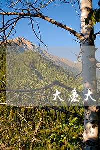 大庆大同法院蔡文彬