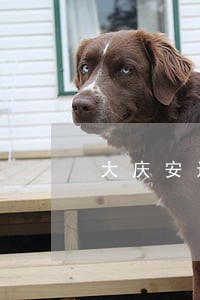 大庆安达铁西法院申偷油 大庆安达铁西法院申偷油