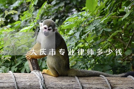 大庆市专业律师多少钱