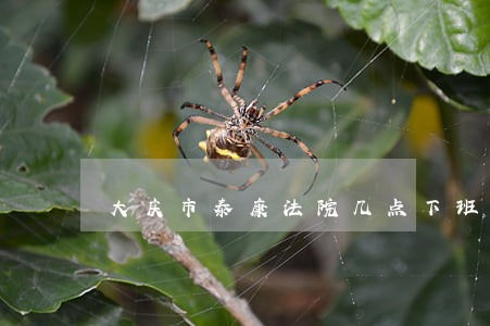 大庆市泰康法院几点下班