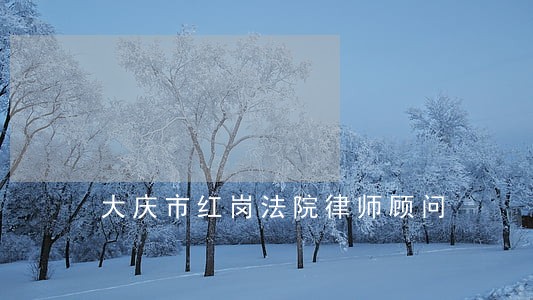 大庆市红岗法院律师顾问
