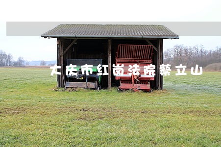 大庆市红岗法院蔡立山 大庆市红岗法院蔡立山