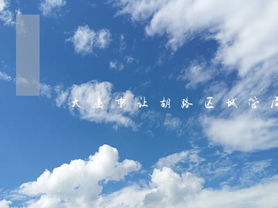 大庆市让胡路区城管局违法 大庆市让胡路区城管局违法