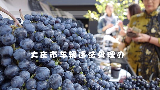 大庆市车辆违法处理办 大庆市车辆违法处理办