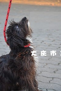 大庆市龙凤区法院电话 大庆市龙凤区法院电话