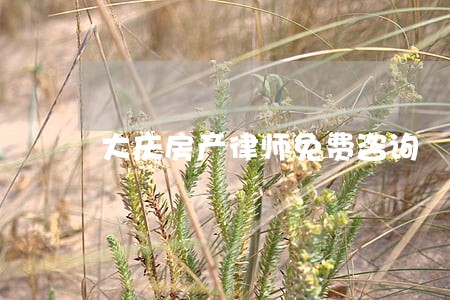 大庆房产律师免费咨询 大庆房产律师免费咨询