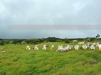 大庆房产继承律师收费 大庆房产继承律师收费