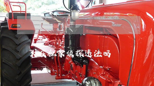 大庆私家侦探违法吗