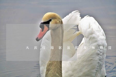 大庆红岗区法院发布悬赏公告 大庆红岗区法院发布悬赏公告