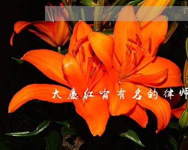大庆红岗有名的律师免费电话 大庆红岗有名的律师免费电话
