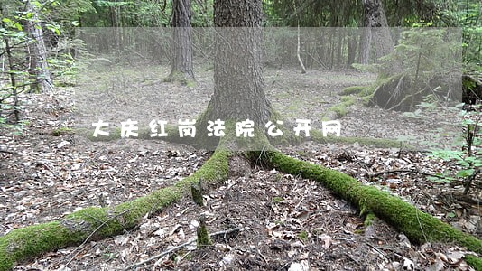 大庆红岗法院公开网