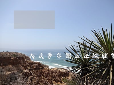 大庆萨尔图区法院辅警