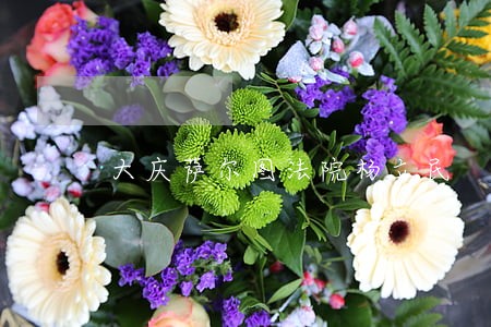 大庆萨尔图法院杨立民 大庆萨尔图法院杨立民