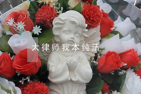 大律师我本纯洁 大律师我本纯洁
