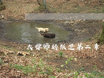 大律师的叛逆第二章 大律师的叛逆第二章