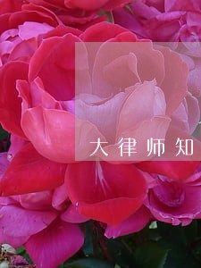 大律师知法犯法