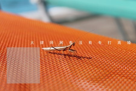 大律师网有没有专打离婚的官司的 大律师网有没有专打离婚的官司的