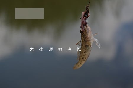 大律师都有谁 大律师都有谁
