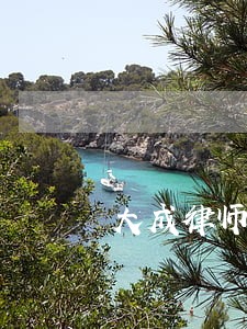 大成律师事务所法律意见书文库 大成律师事务所法律意见书文库