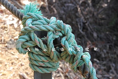 大批上征信网贷逾期 大批上征信网贷逾期